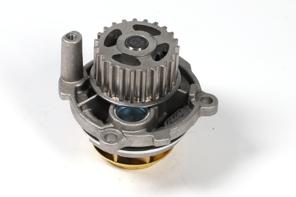 Hepu P545 Waterpomp